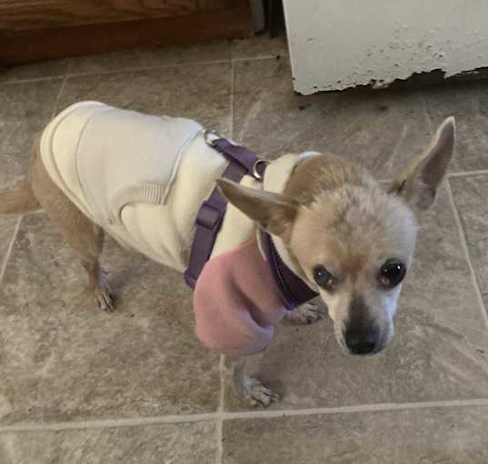 Photo of Sasha