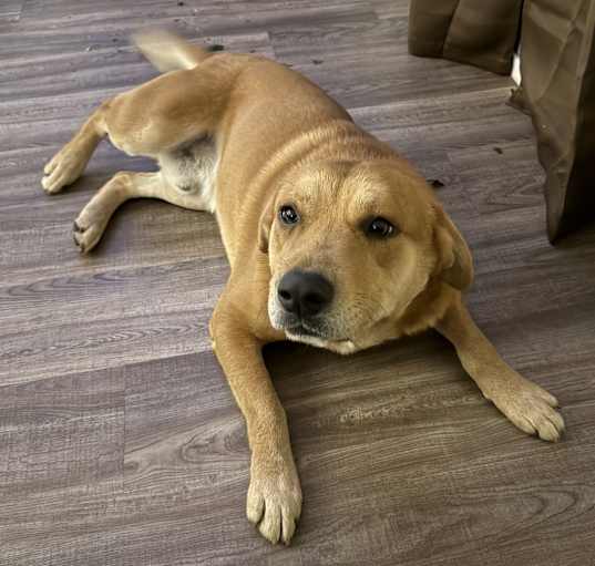 Photo of Cash