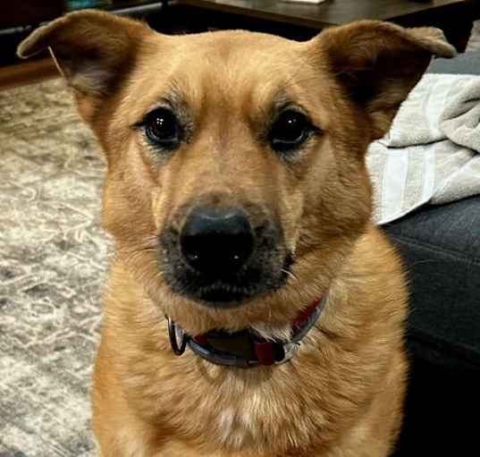 Photo of SPECIAL STELLA