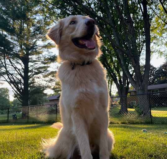 Photo of Remi