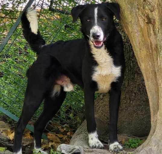 Photo of Kylan - Kind boy!