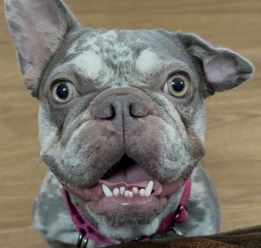 Photo of Mia