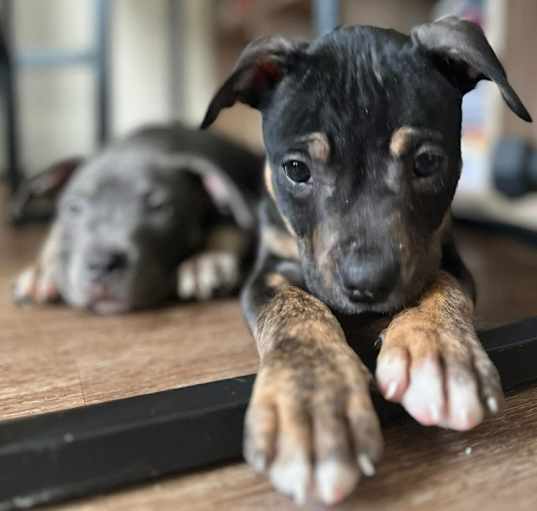 Photo of missy