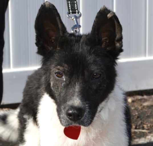 Photo of Mr. Charlie