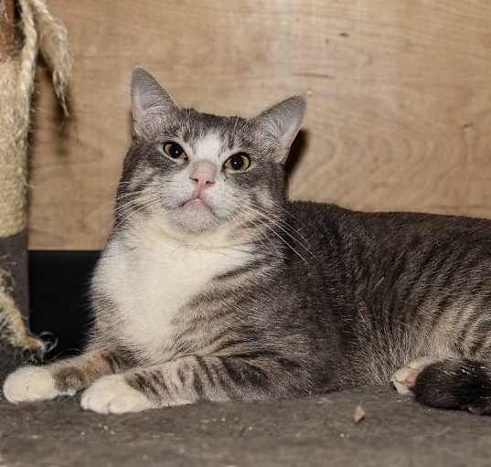Photo of Ricardo