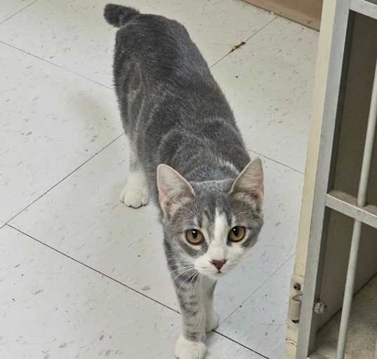 Photo of Lilith
