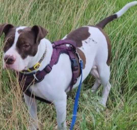 Photo of Delilah