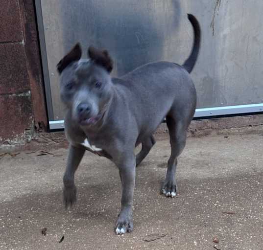 Photo of Luna