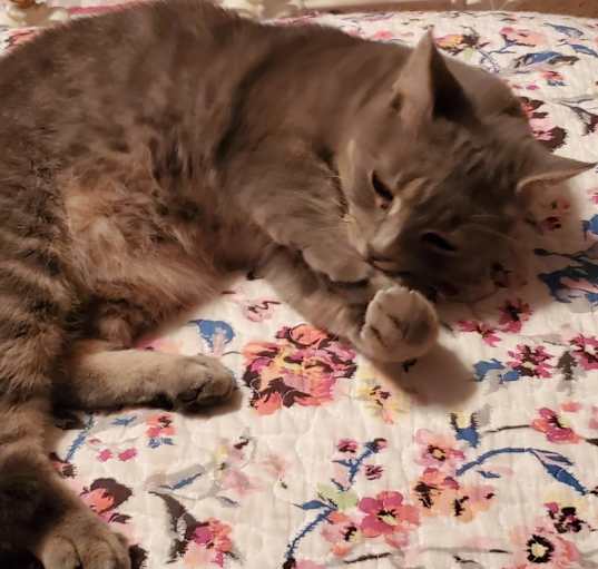 Photo of misty