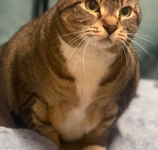 Photo of Baby