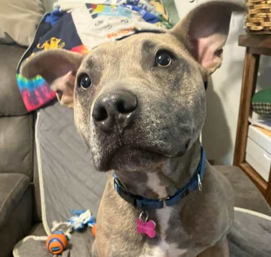 Photo of ACE