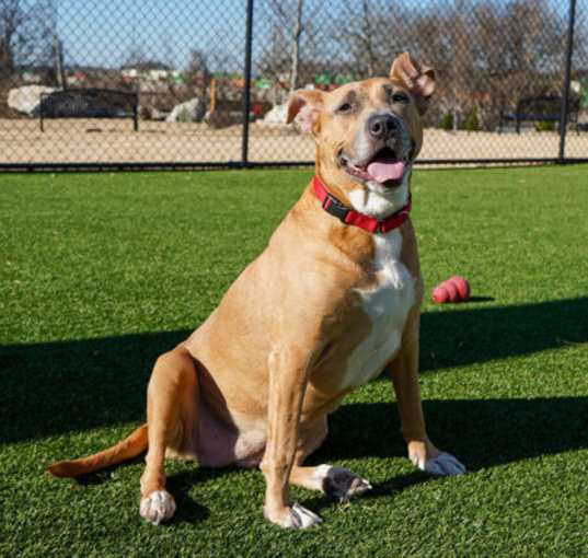 Photo of Nyla