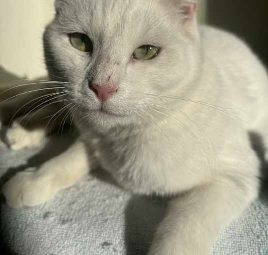 Photo of Lucy