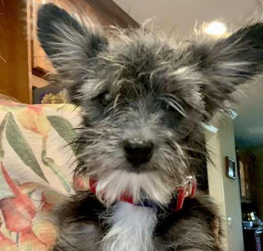 Photo of Darla