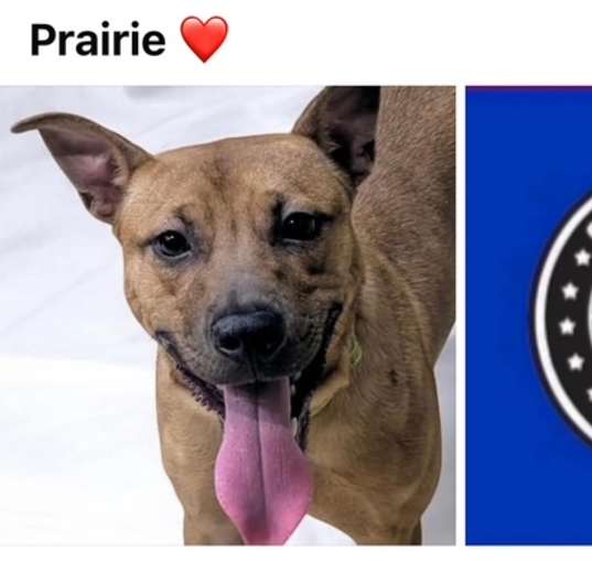 Photo of PRAIRIE