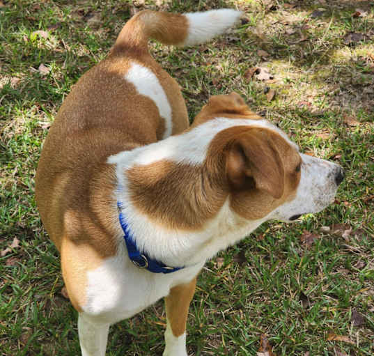 Photo of Willow1