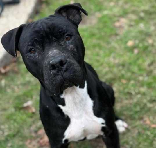 Photo of Amara