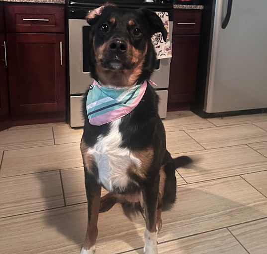 Photo of Nyla