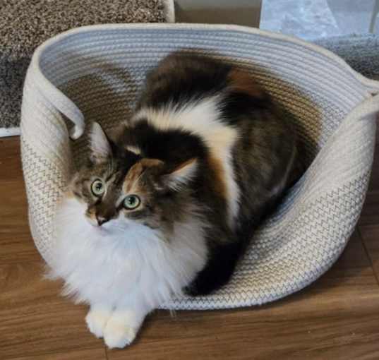 Photo of Elvira