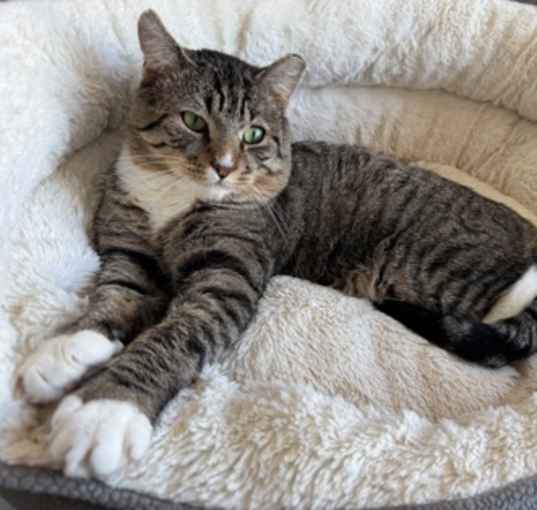 Photo of Sawyer
