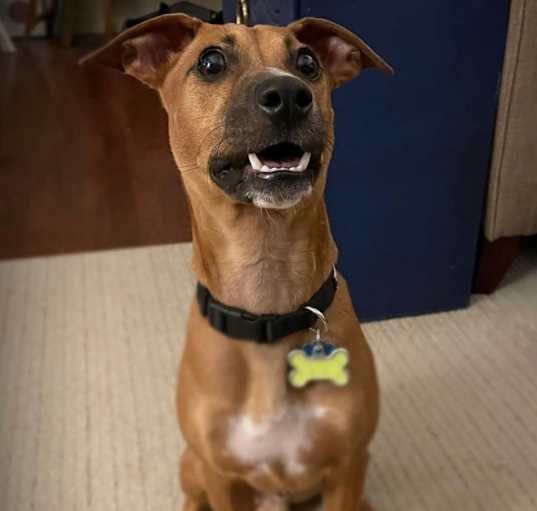 Photo of Yoshi