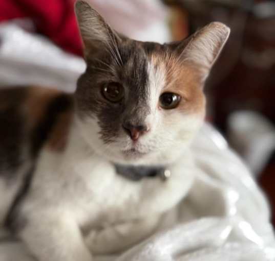 Photo of Carly