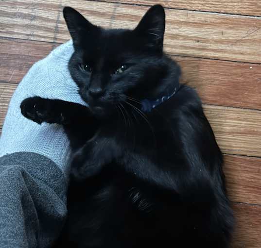 Photo of midnight
