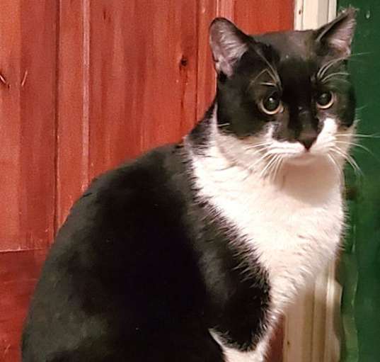 Photo of Devon