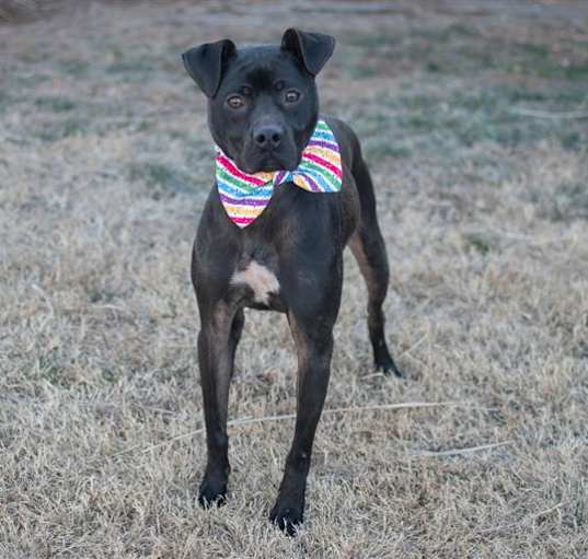 Photo of ROCKET