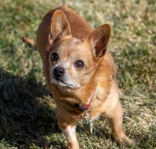 Photo of Stewie