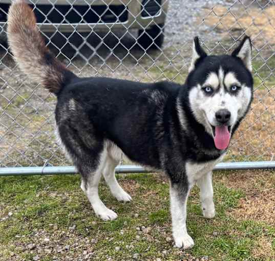 Photo of Zeus