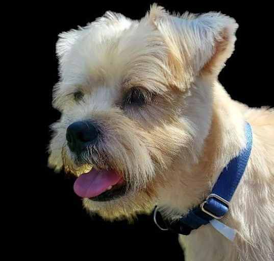 Photo of Doughboy