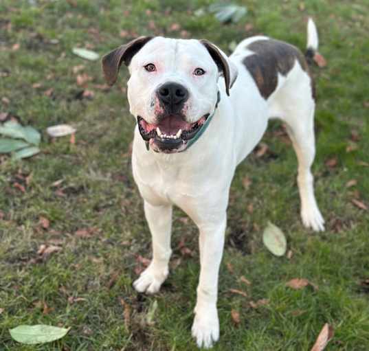 Photo of Bronx