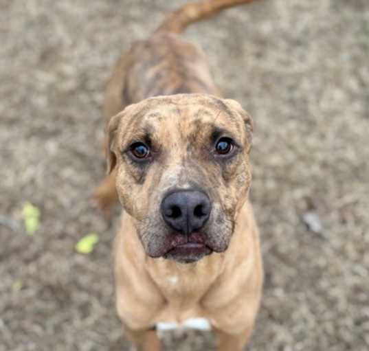 Photo of Tex