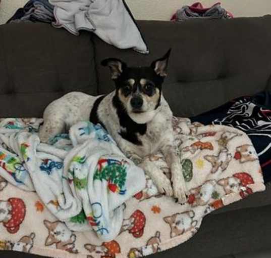 Photo of MITZI