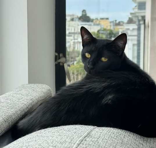 Photo of Mooshu