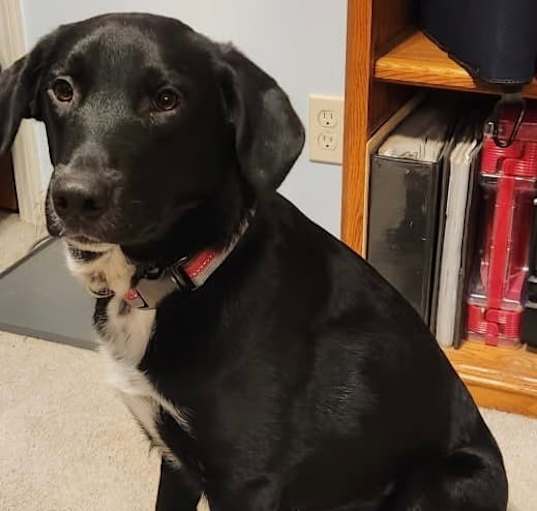 Photo of Jasper