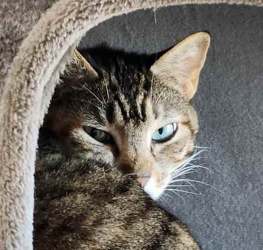 Photo of Cleopatra