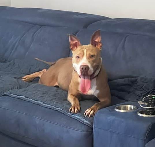 Photo of Daisy