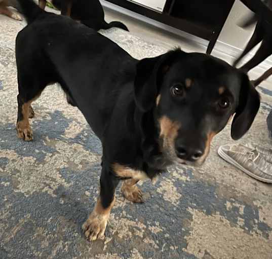 Photo of Yoshi