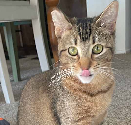 Photo of Abby