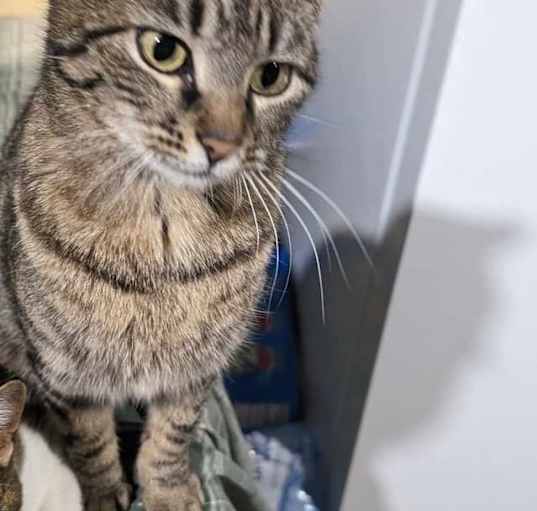 Photo of Sally