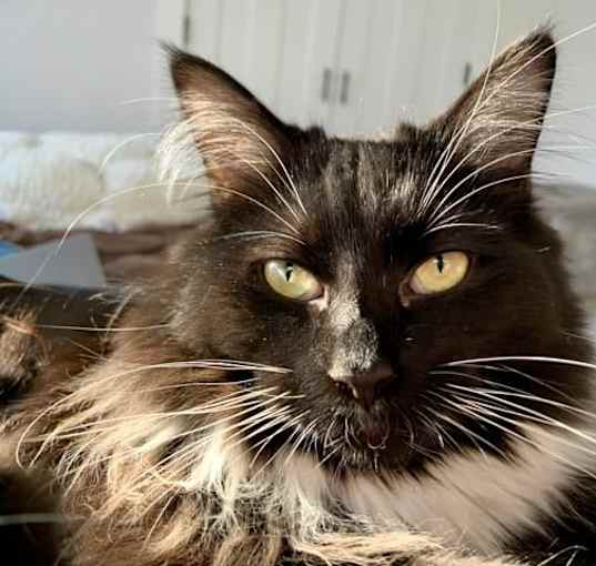 Photo of Kodak