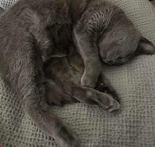 Photo of Maya