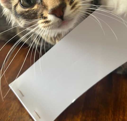 Photo of Sophie