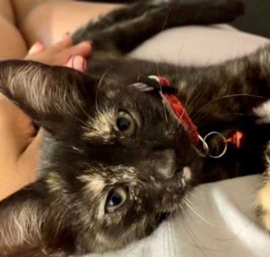 Photo of Lilly baby