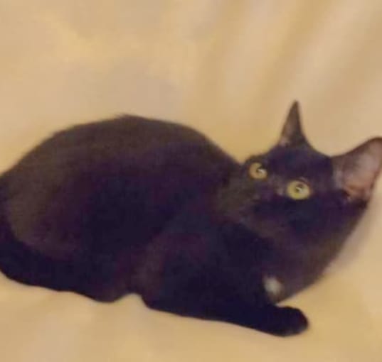 Photo of Lottie Mae