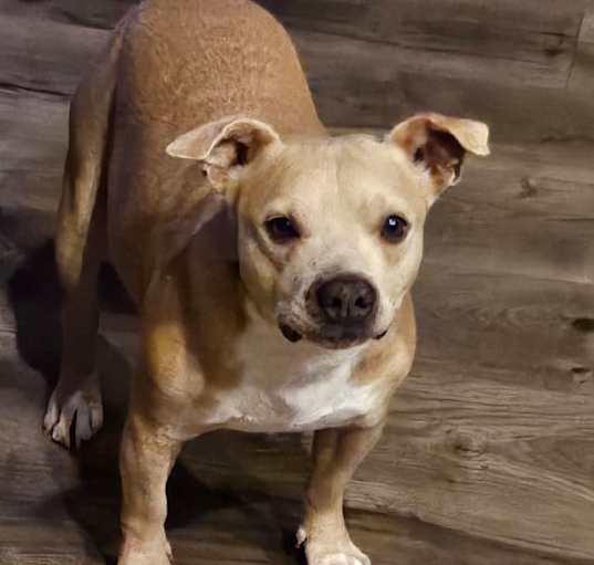 Photo of Sammy