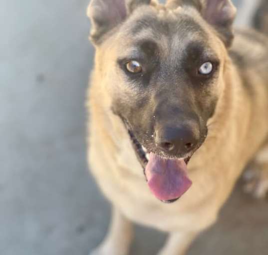 Photo of Blue