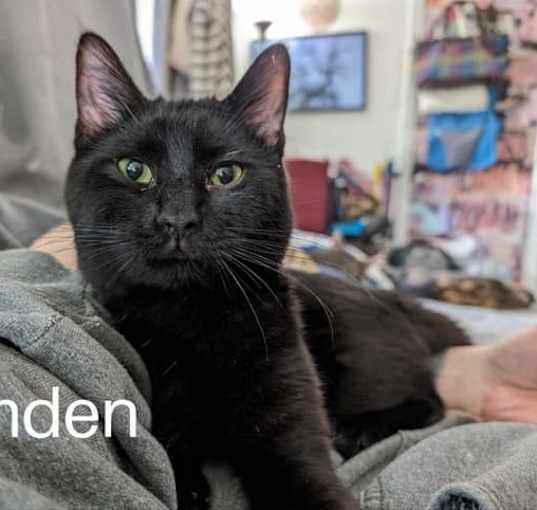 Photo of Camden